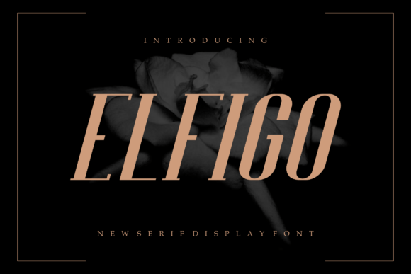 Elfigo: A Modern Display Font for Polished Branding